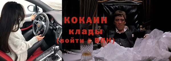 гашик Белокуриха