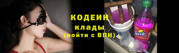 гашик Белокуриха