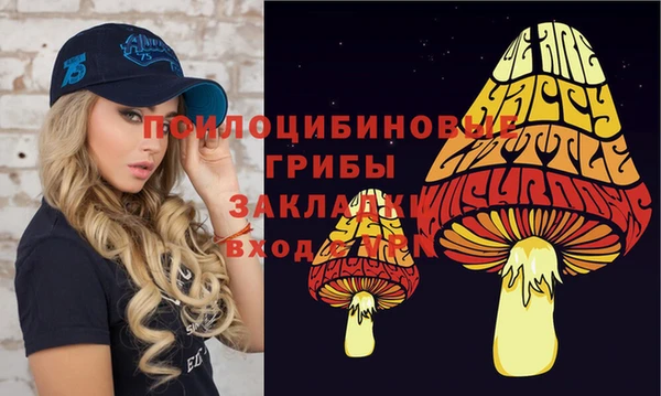 гашик Белокуриха