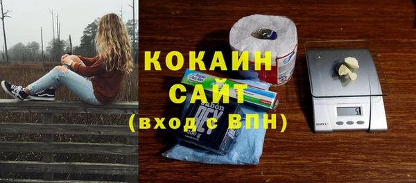 гашик Белокуриха