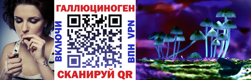 Галлюциногенные грибы мухоморы  даркнет сайт  Никольск 